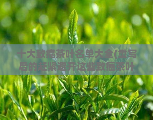 十大致癌茶叶名单大全(重写后的赶紧避开这些致癌茶叶！)  第1张