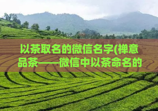 以茶取名的微信名字(禅意品茶——微信中以茶命名的名号)  第1张