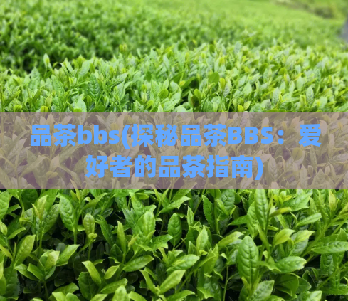品茶bbs(探秘品茶BBS：爱好者的品茶指南)  第1张