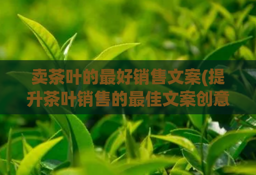卖茶叶的最好销售文案(提升茶叶销售的最佳文案创意)  第1张