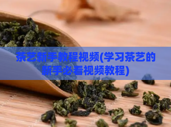 茶艺新手教程视频(学习茶艺的新手必看视频教程)  第1张
