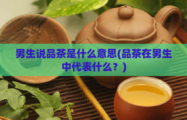 男生说品茶是什么意思(品茶在男生中代表什么？)  第1张