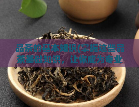 品茶的基本知识(掌握这些品茶基础知识，让你成为专业品茶人)  第1张