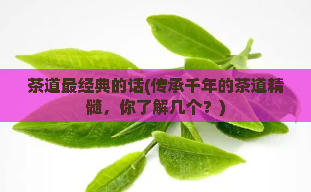 茶道最经典的话(传承千年的茶道精髓，你了解几个？)  第1张