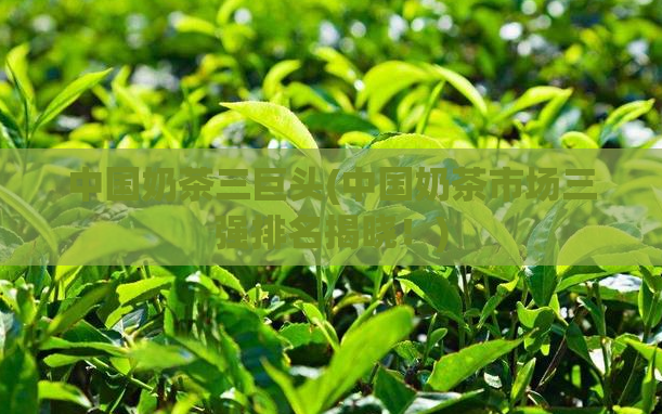 中国奶茶三巨头(中国奶茶市场三强排名揭晓！)  第1张