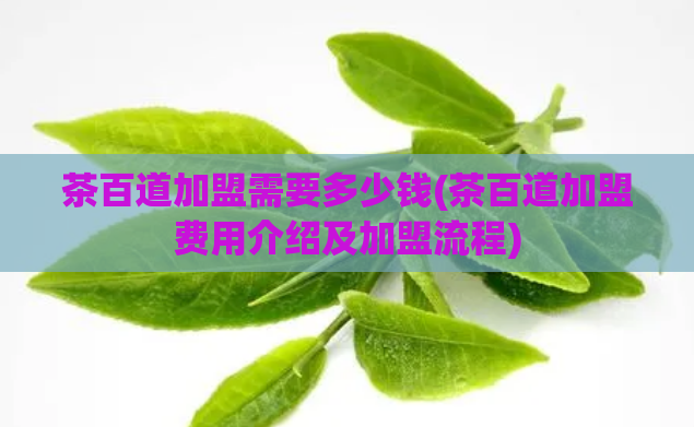 茶百道加盟需要多少钱(茶百道加盟费用介绍及加盟流程)  第1张