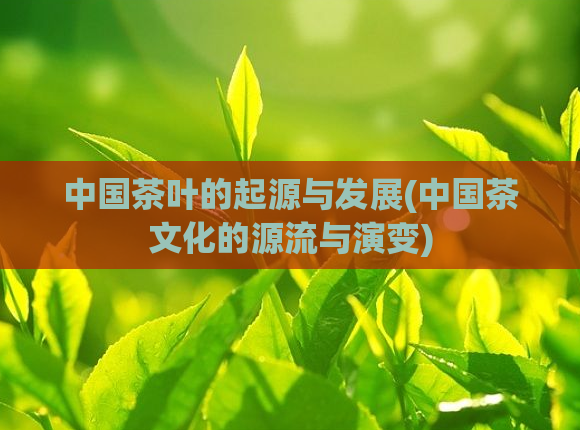 中国茶叶的起源与发展(中国茶文化的源流与演变)  第1张