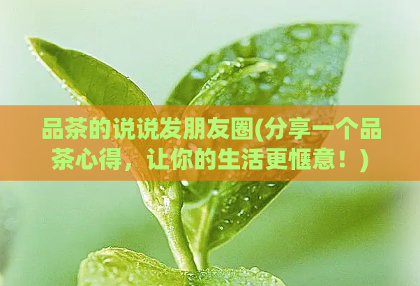 品茶的说说发朋友圈(分享一个品茶心得，让你的生活更惬意！)  第1张