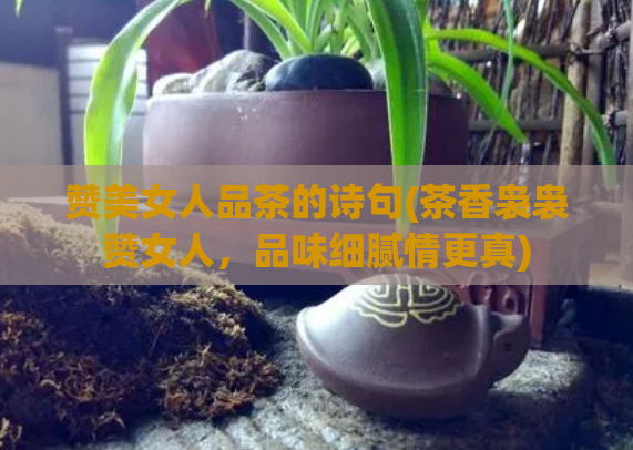 赞美女人品茶的诗句(茶香袅袅赞女人，品味细腻情更真)  第1张