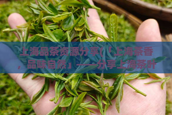 上海品茶资源分享(「上海茶香，品味自然」——分享上海茶叶资源)  第1张