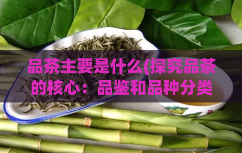品茶主要是什么(探究品茶的核心：品鉴和品种分类)  第1张