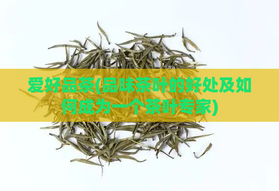 爱好品茶(品味茶叶的好处及如何成为一个茶叶专家)  第1张