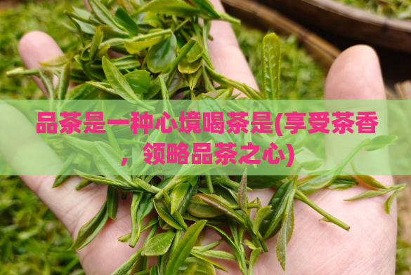 品茶是一种心境喝茶是(享受茶香，领略品茶之心)  第1张