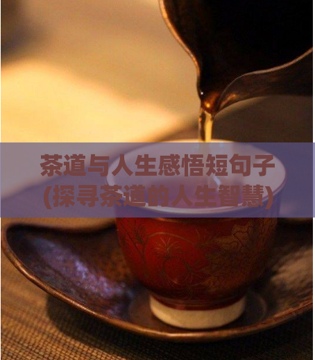 茶道与人生感悟短句子(探寻茶道的人生智慧)  第1张