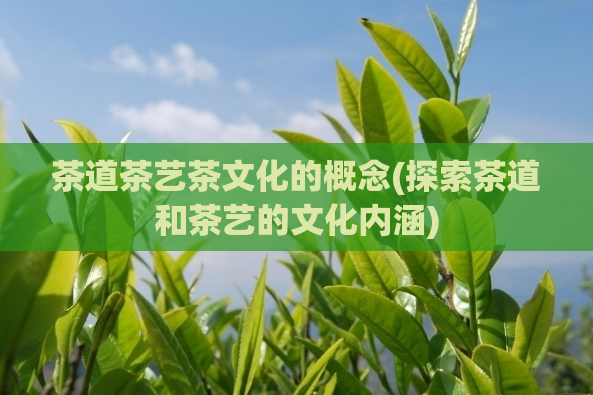 茶道茶艺茶文化的概念(探索茶道和茶艺的文化内涵)  第1张