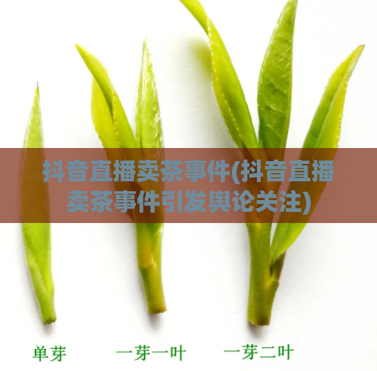 抖音直播卖茶事件(抖音直播卖茶事件引发舆论关注)  第1张