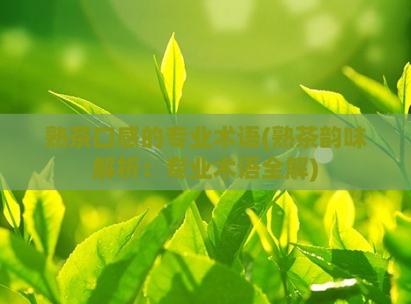 熟茶口感的专业术语(熟茶韵味解析：专业术语全解)  第1张